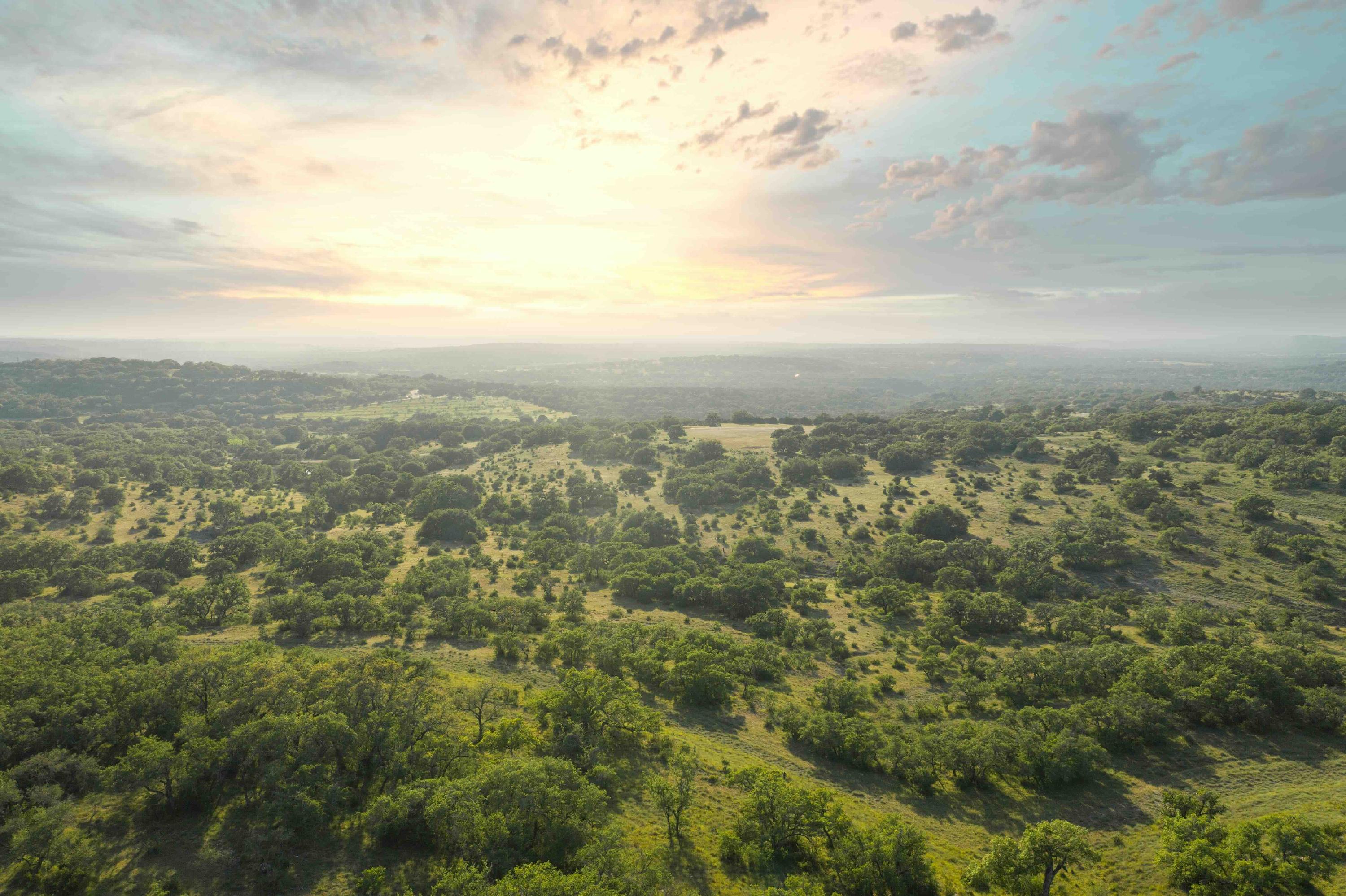 Bee Cave Hills